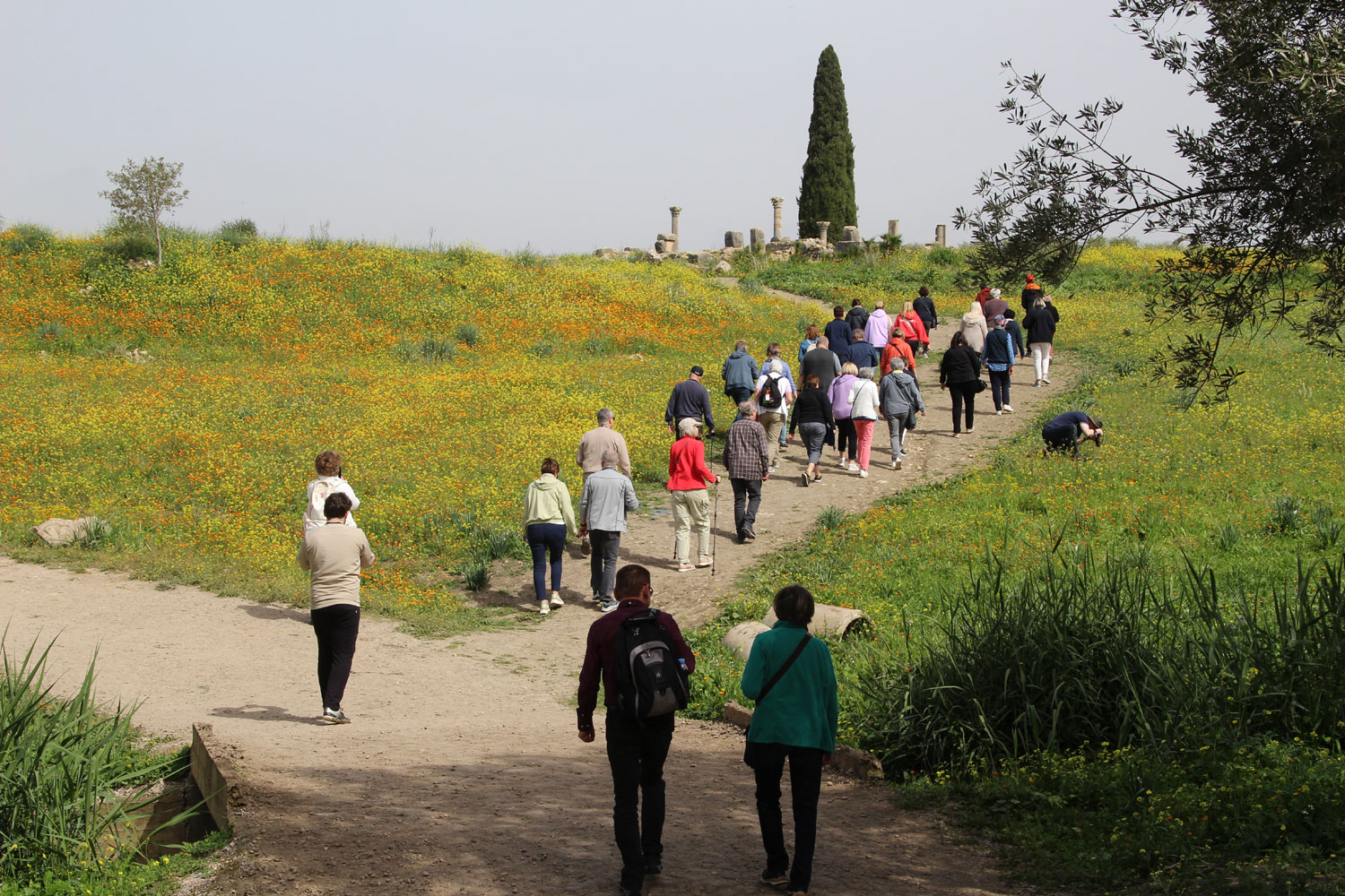 Volubilis