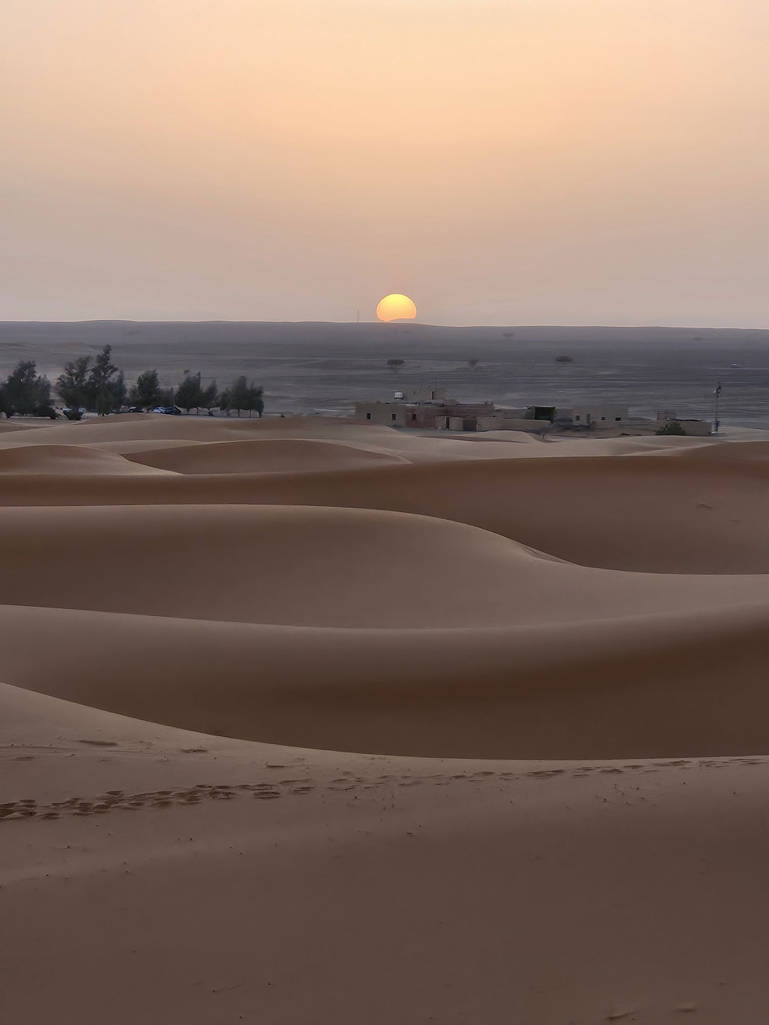 Sahara