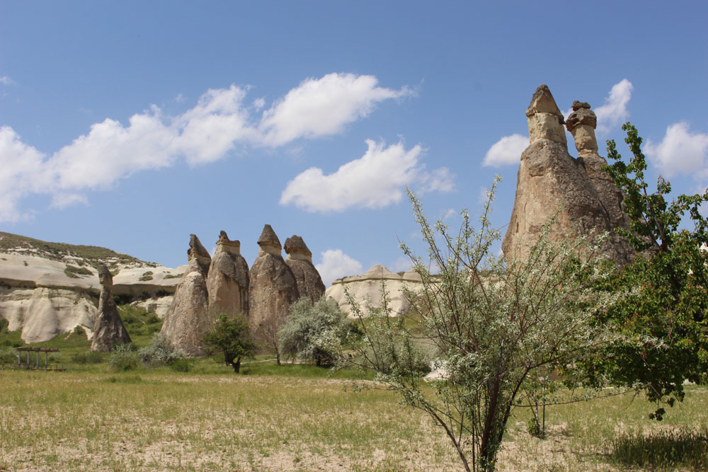 Pasabaglari